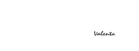 Velosport