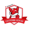 Bidding_fox_logo